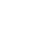 Discord icon